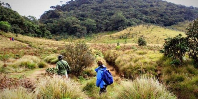 Kirigalpoththa Mountain Hike Through Horton Plains - Directions