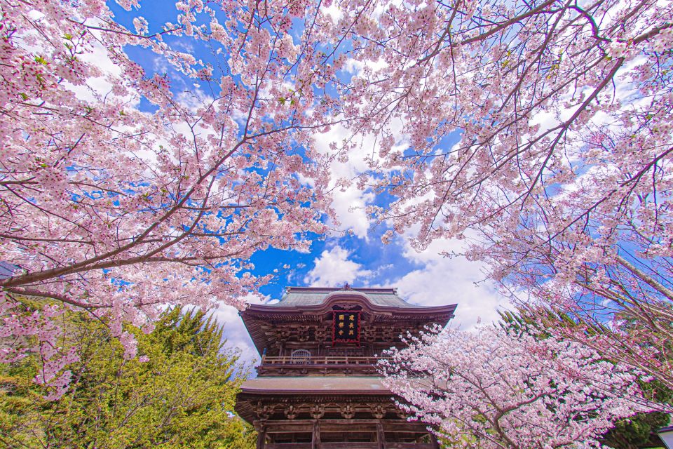 Kita-Kamakura Audio Guide Tour: Discovering Zen Serenity - Ideal Gift Option