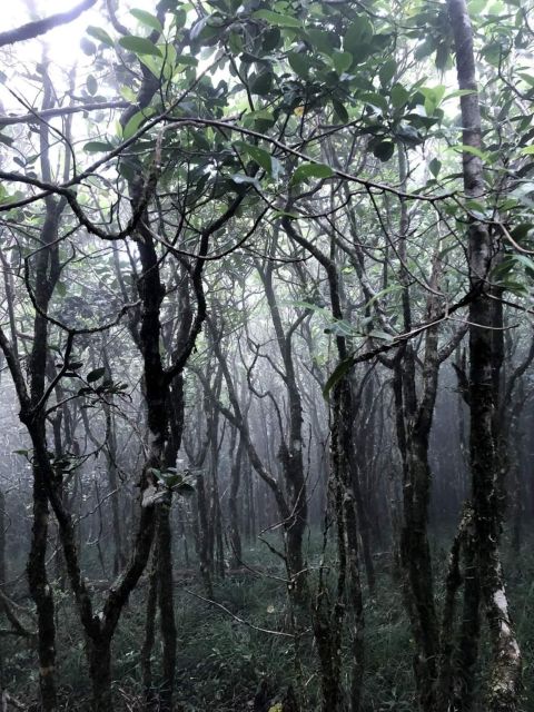 Knuckles Mountain Range Trekking :Kota Ganga Waterfall Chain - Inclusions