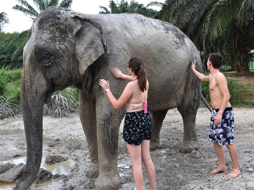 Ko Lanta Yai: Half-Day Ethical Elephant Sanctuary Tour - Flexibility and Cancellation Policy