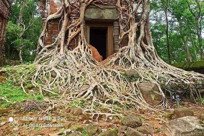 Koh Ker Pyramid Temple & Beng Mealea Jungle Temple - Discovering Beng Mealea Jungle Temple