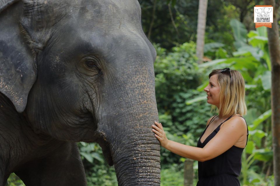Koh Samui: Elephant Jungle Sanctuary Half-Day Tour - Review Details