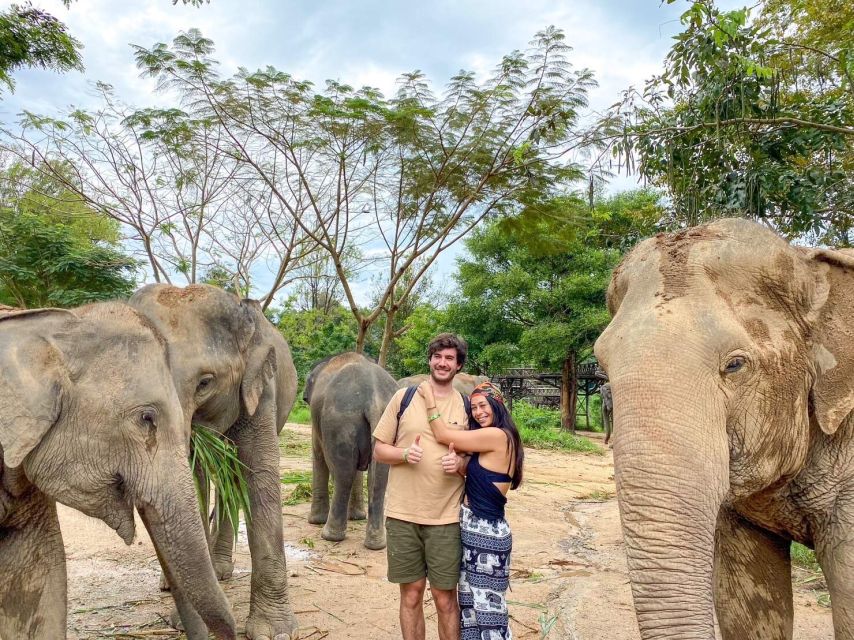 Koh Samui: Elephant Kingdom Sanctuary Half-Day Tour - Transportation and Logistics