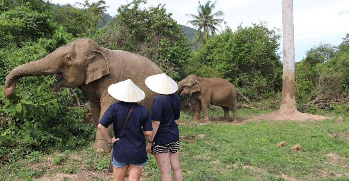 Koh Samui: Elephant Sanctuary and More - Full Day - Environmental Sustainability