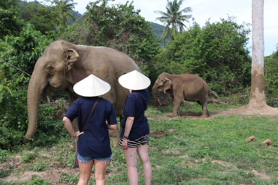 Koh Samui: Ethical Elephant Home Guided Tour With Transfers - Full Description