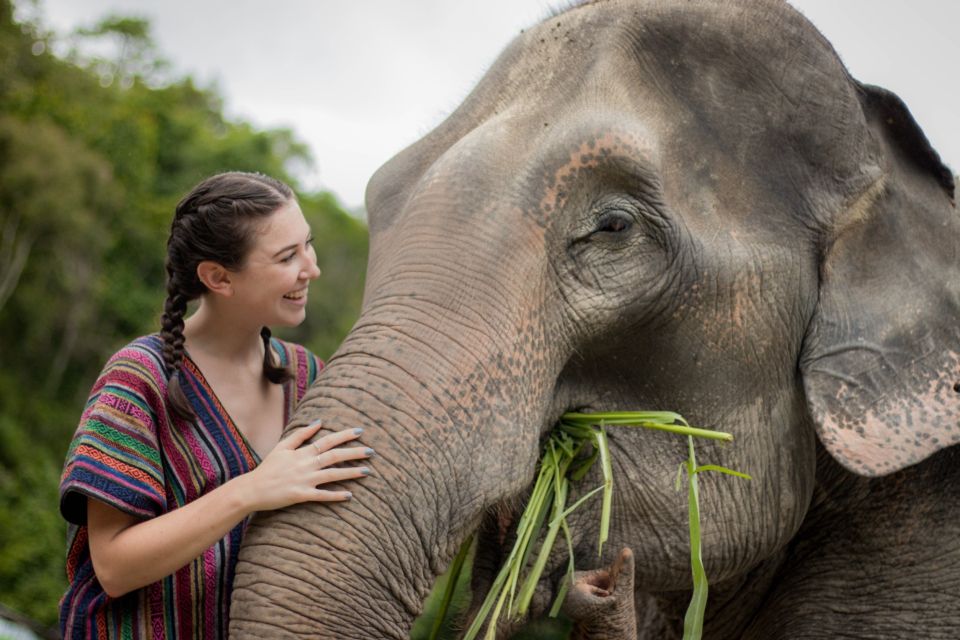 Koh Samui: Ethical Elephant Sanctuary Tour With Buffet Lunch - Booking Flexibility