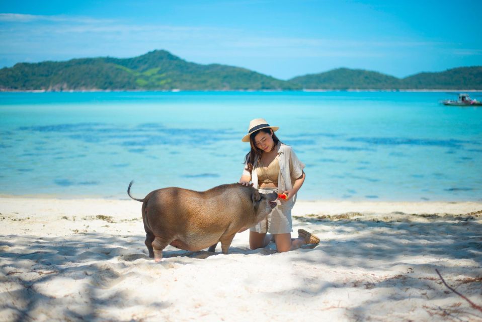 Koh Samui: Private Longtail Tour to Koh Mat Sum (Pig Island) - Customer Reviews