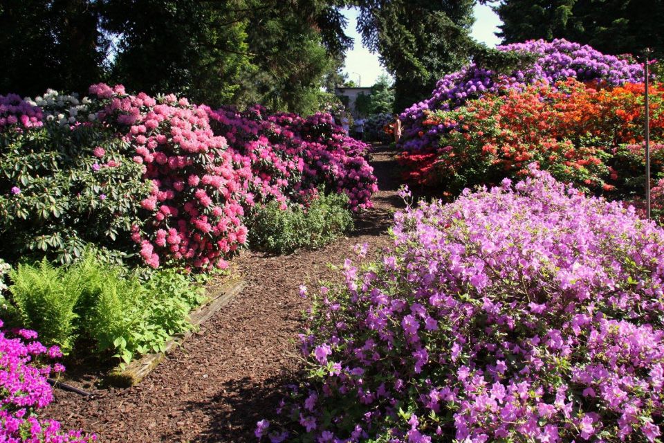 Kornik Castle and Rogalin Palace Half-Day Private Tour - Gardens and Grounds