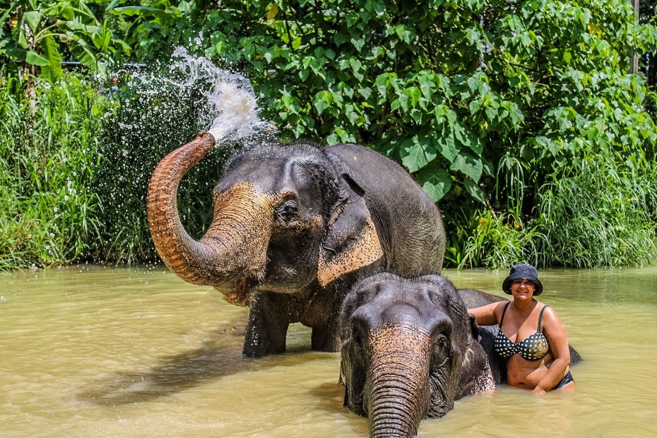 Krabi: Ao Nang Elephant Sanctuary Half-Day Tour - Additional Information