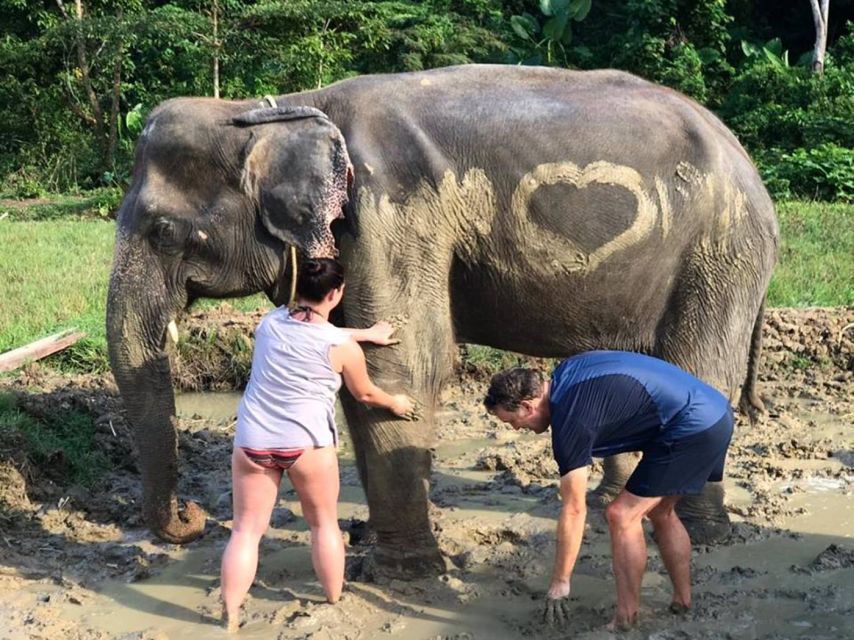 Krabi: Elephant Bathing & ATV Adventure Combo - Review Summary