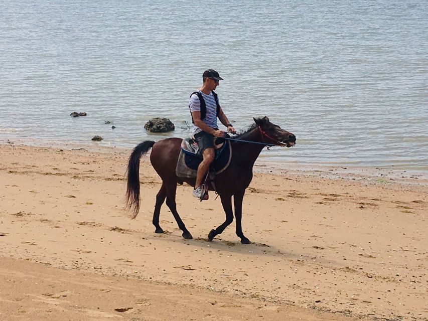 Krabi: Horseback Riding on the Beach - Customer Testimonials