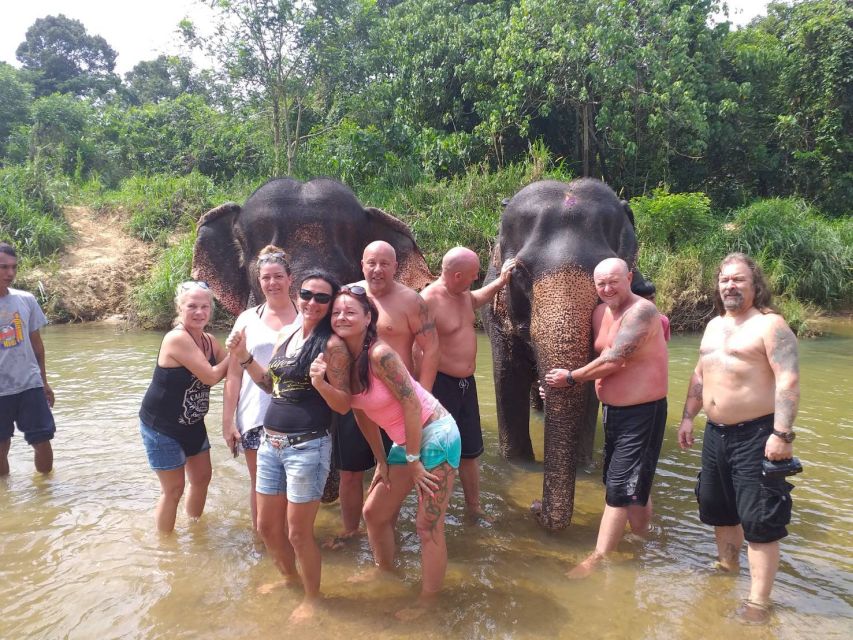 Krabi: Tour of Elephant Care House and Tiger Cave Temple - Additional Information and Activity Rating