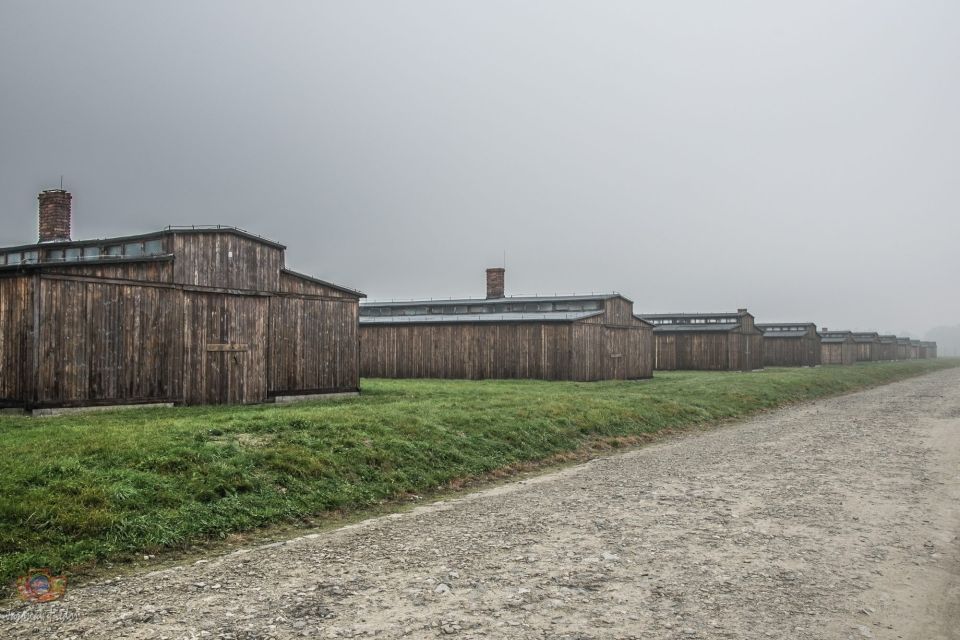 Krakow: Auschwitz-Birkenau Extended Guided Tour & Options - Key Highlights