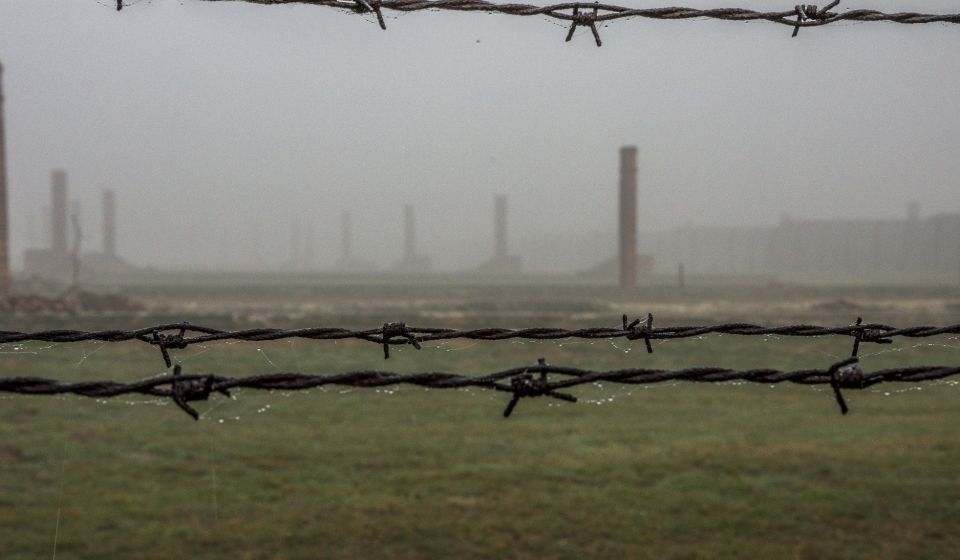 Krakow: Auschwitz-Birkenau Guided Tour & Holocaust Movie - Visitor Testimonials