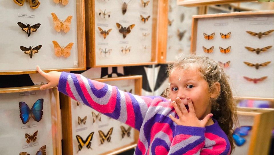 Krakow: Living Butterfly Museum - Last Words