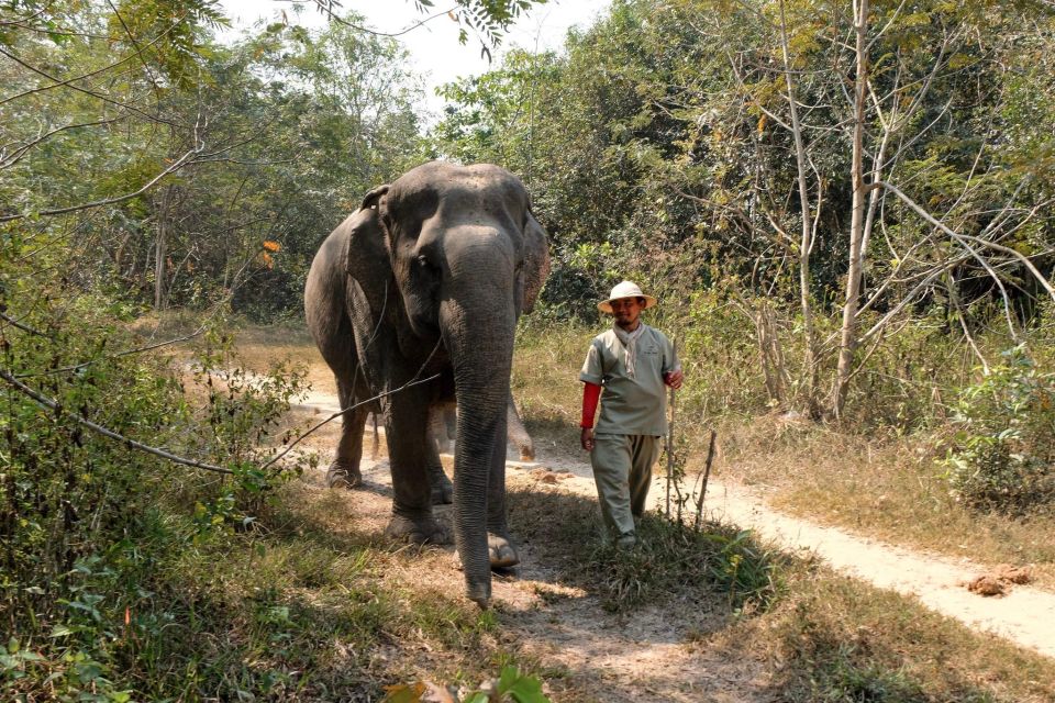 Kulen Elephant Forest & 1000 Lingas River Bed - Location Details