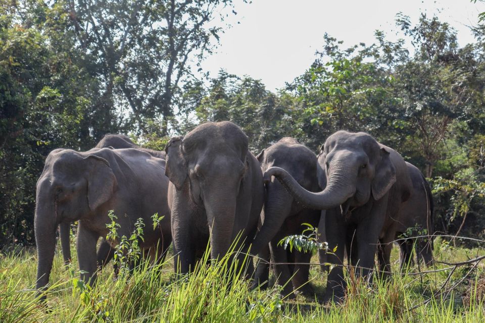 Kulen Elephant Forest & Tonlesap Lake - Additional Information