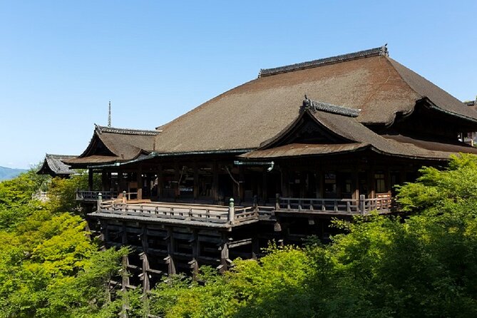 Kyoto Afternoon Tour - Fushimiinari & Kiyomizu Temple From Kyoto - Traveler Information