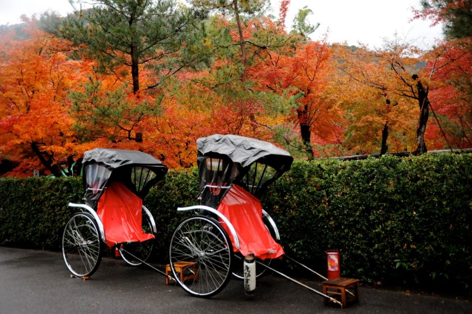 Kyoto: Arashiyama Customized Rickshaw Tour & Bamboo Forest - Customer Testimonials and Feedback