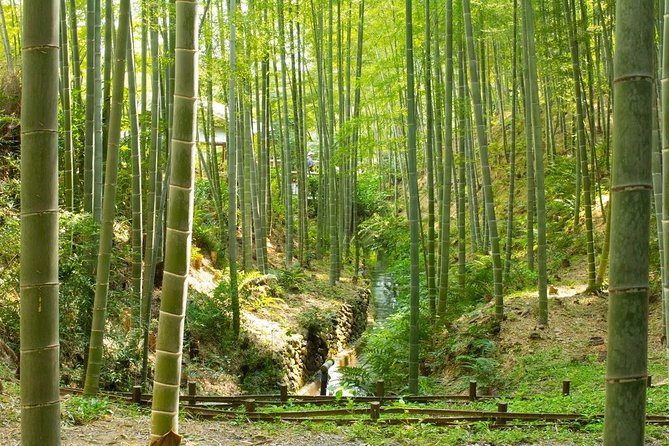 Kyoto : Immersive Arashiyama and Fushimi Inari by Private Vehicle - Tour Highlights