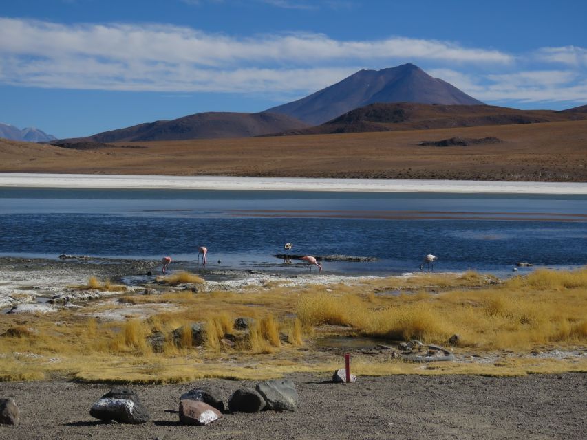 La Paz: 5-Day Uyuni Salt Flats by Bus With Private Hotels. - Amenities on the Bus
