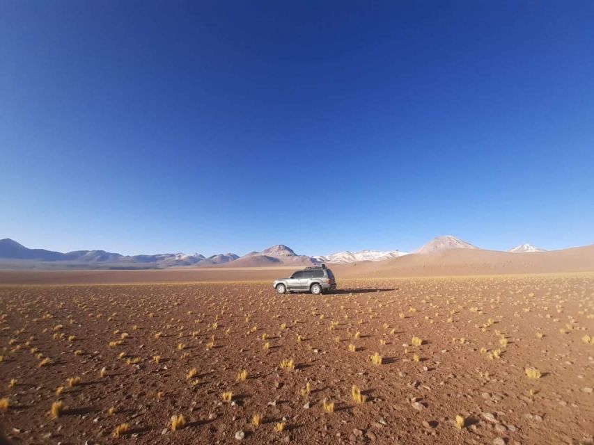 La Paz: 5-Day Uyuni Salt Flats by Bus - Days 4 and 5 - Lagoons, Uyuni, La Paz & La Paz