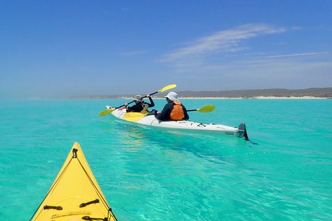 Lagoon Explorer - Ningaloo Reef Full-Day Kayaking and Snorkeling Adventure - Last Words