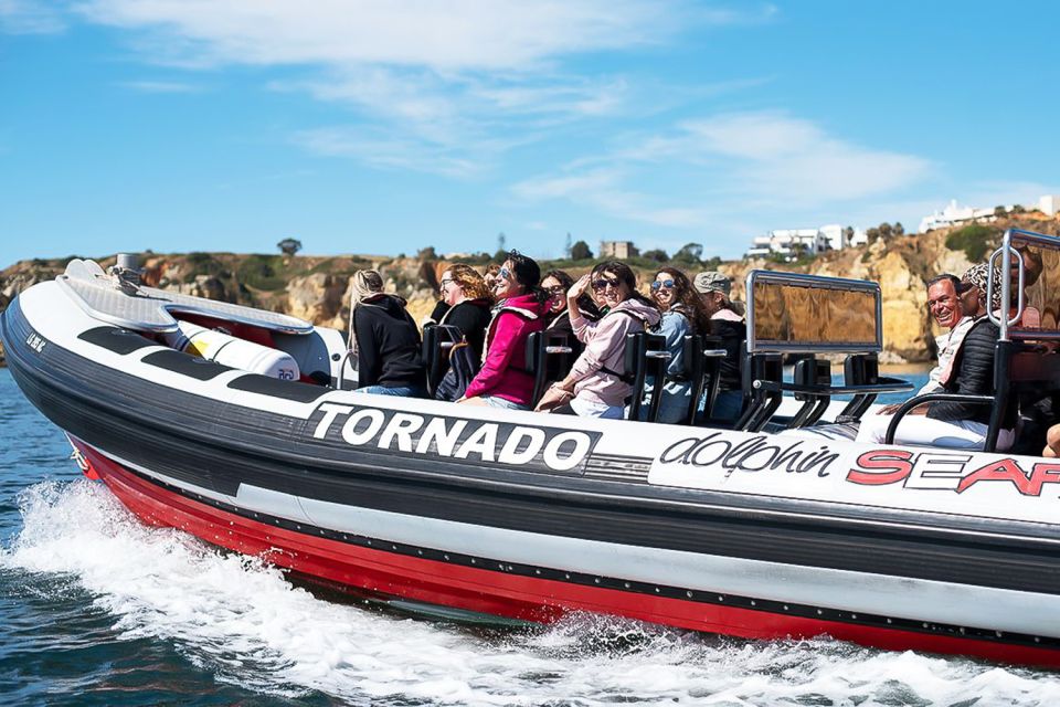 Lagos: Dolphin Watching With Professional Marine Biologists - Professional Marine Biologists and Dolphin Encounters