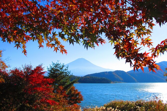 Lake Kawaguchi From Tokyo Bus Ticket Oneway/Roundway - Directions to Lake Kawaguchi