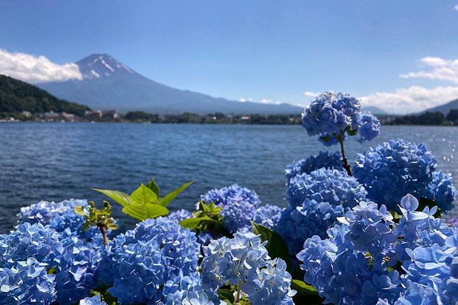 Lake Kawaguchiko Bike Tour - Weather and Attire