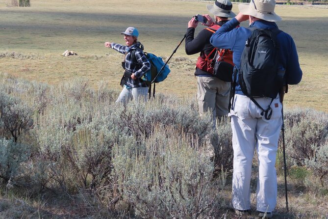 Lamar Valley Safari Hiking Tour With Lunch - Cancellation Policy Details