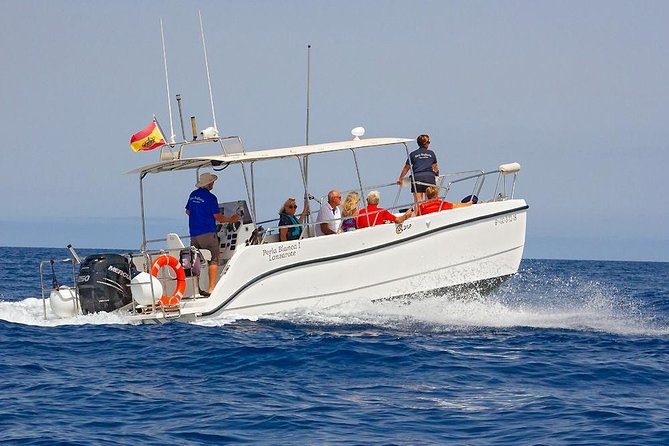 Lanzarote Sea Safari From Puerto Calero - Tour Availability and Pricing