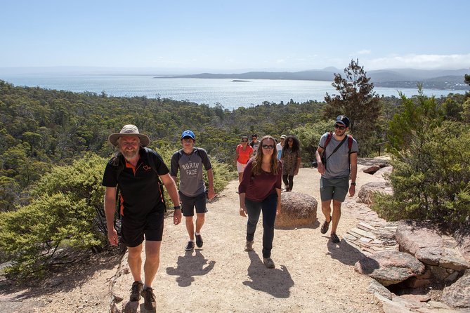 Launceston to Hobart via Wineglass Bay - Active One-Way Day Tour - Tour Inclusions
