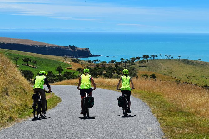 Lava Loop- Guided Electric Mountain Bike Tour in Akaroa - Accessibility and Transportation