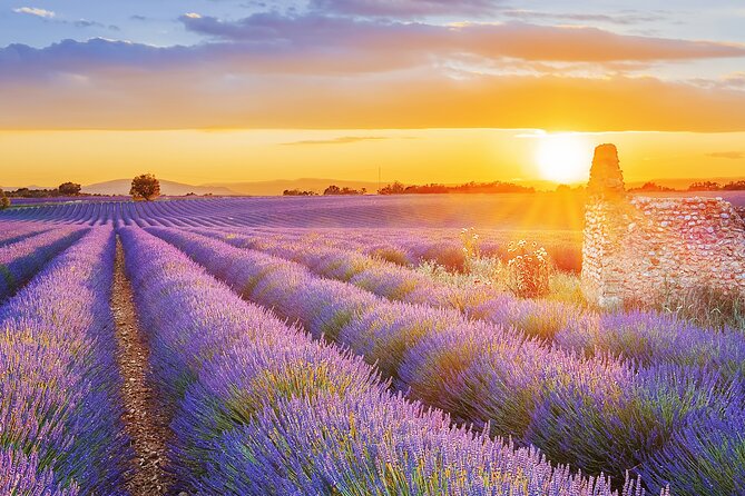 Lavender Route - Small-Group Day Trip From Avignon - Directions