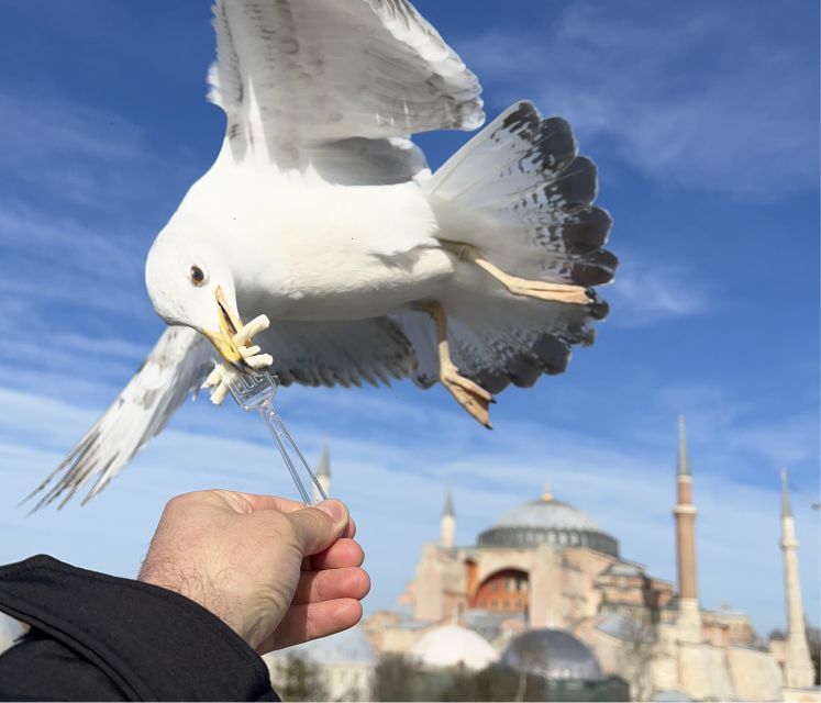 Layover Private Guided Istanbul City Tour With Transfers - Important Details