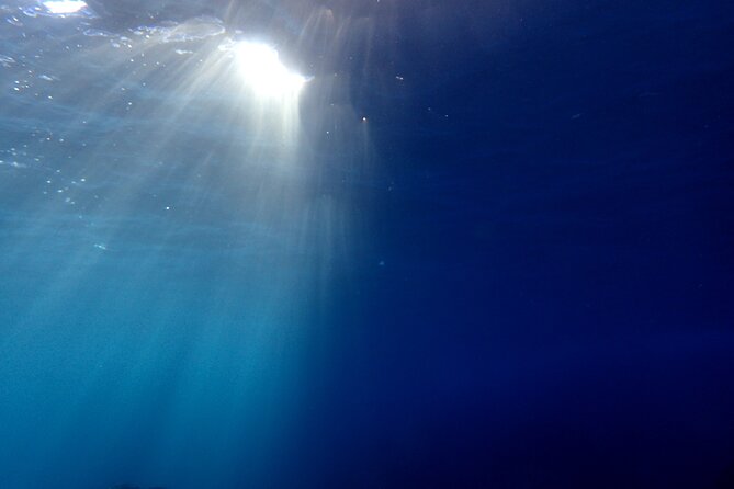 Lets Enjoy Scuba Diving in Izu Oceanic Park Izu Peninsula for Certificate Diver - Directions to Dive Dream