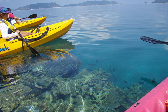 Lets Go to a Desert Island of Kerama Islands on a Sea Kayak - Reviews and Ratings