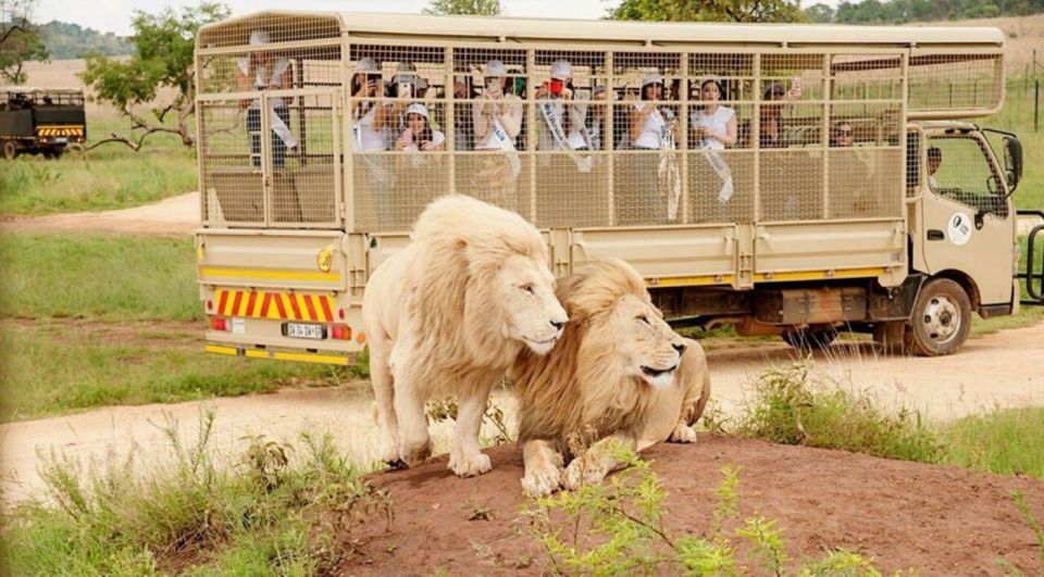 Lion Park Tour in Open Safari Vehicle - Lion Park Location