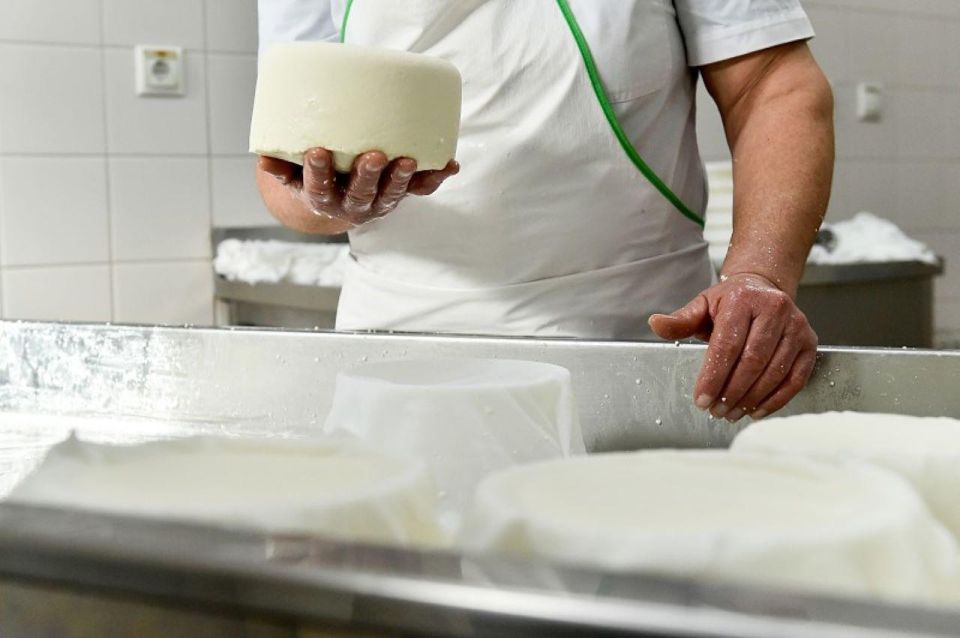 Lisbon: Azeitão Cheese Workshop With Wine & Food Tasting - Additional Information