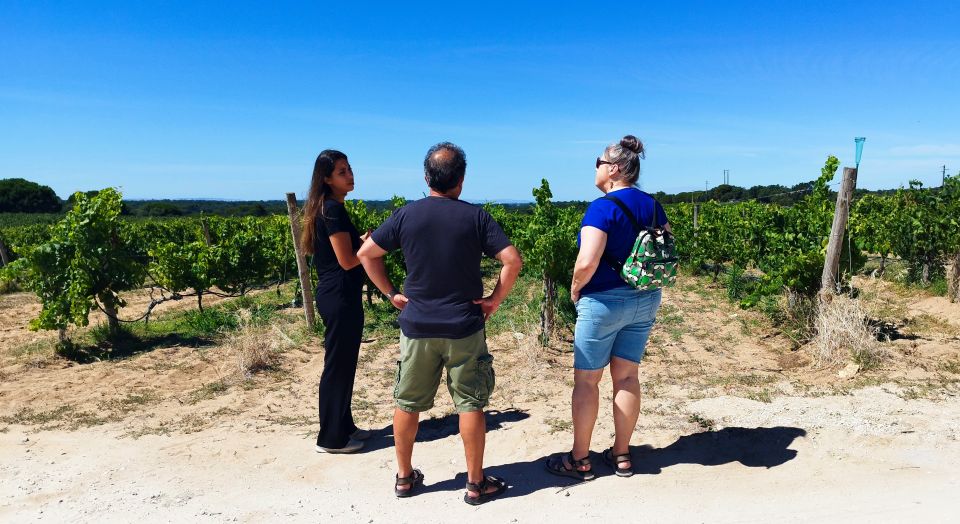 Lisbon: Private Setúbal & Arrábida Wine Tour With Lunch - Local Experiences Included