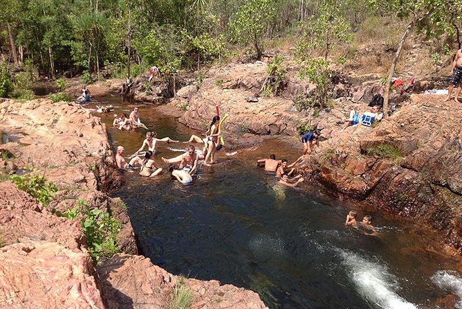Litchfield National Park and Jumping Crocodile Cruise - Highlights and Guide Insights