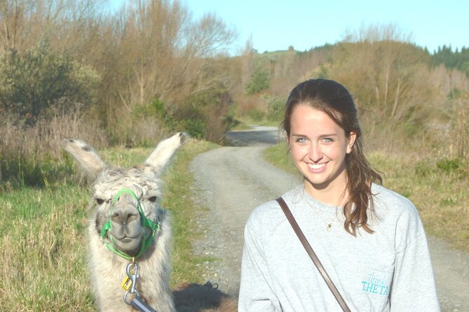 Llama Trek (Taster) - Kowhai River Valley and Native Woodland Tour - Reviews and Ratings