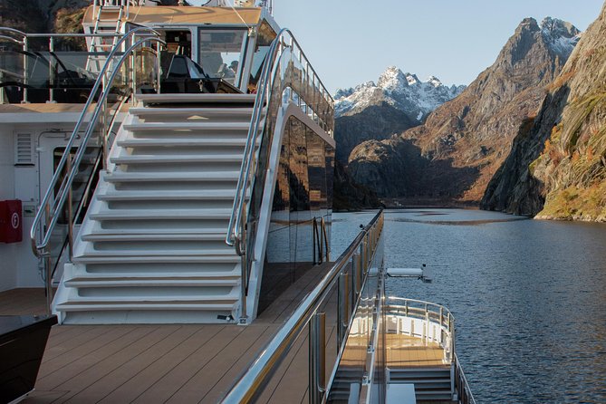 Lofoten Island: Silent Trollfjord Cruise From Svolvær - Wildlife Viewing Opportunities