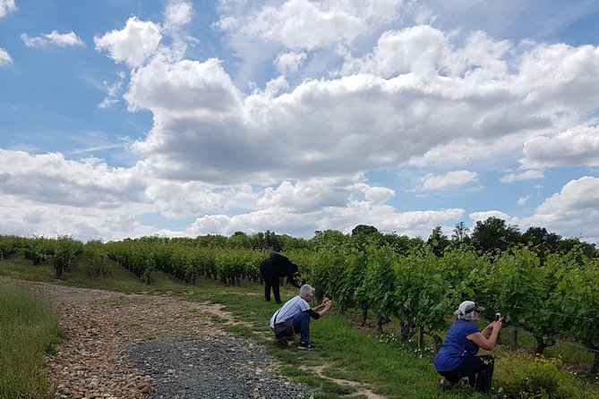 Loire Valley Half Day Wine Tour From Tours : Vouvray Wine Tasting - Tour Highlights