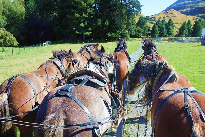 Lord of the Rings High Country Station Pioneering Experience & Scenic Day Tour - Booking and Cancellation Policy