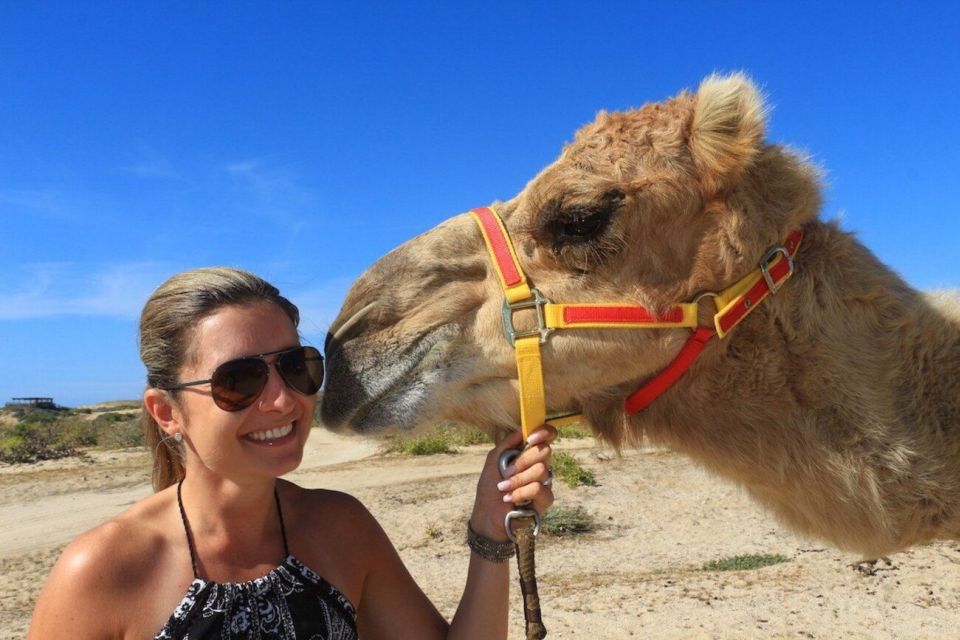 Los Cabos: Desert & Sea Camel Safari Tour With Lunch - Inclusions: Pickup, Camel Ride, and Tasting Sessions