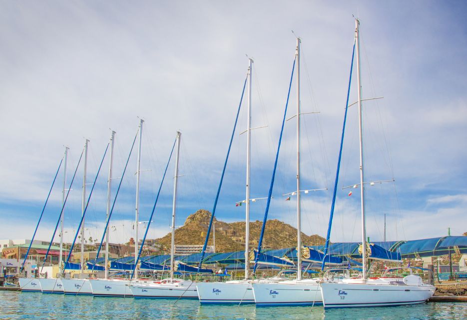 Los Cabos: Sailing Cruise With Snorkeling and Lunch - Transportation Experience