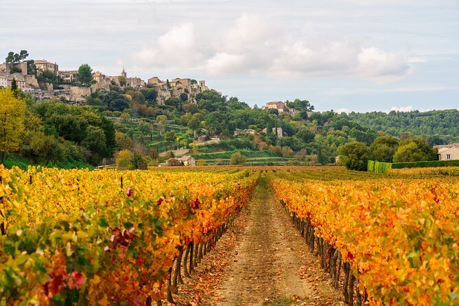 Luberon Highlights Tour With Small Group From Avignon - Reviews and Testimonials