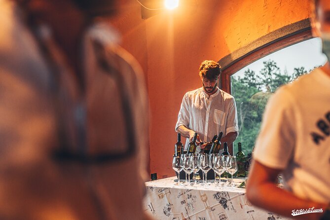 Lucca: Wine Tasting Experience - Tenuta Adamo Winery - Location & Meeting Point